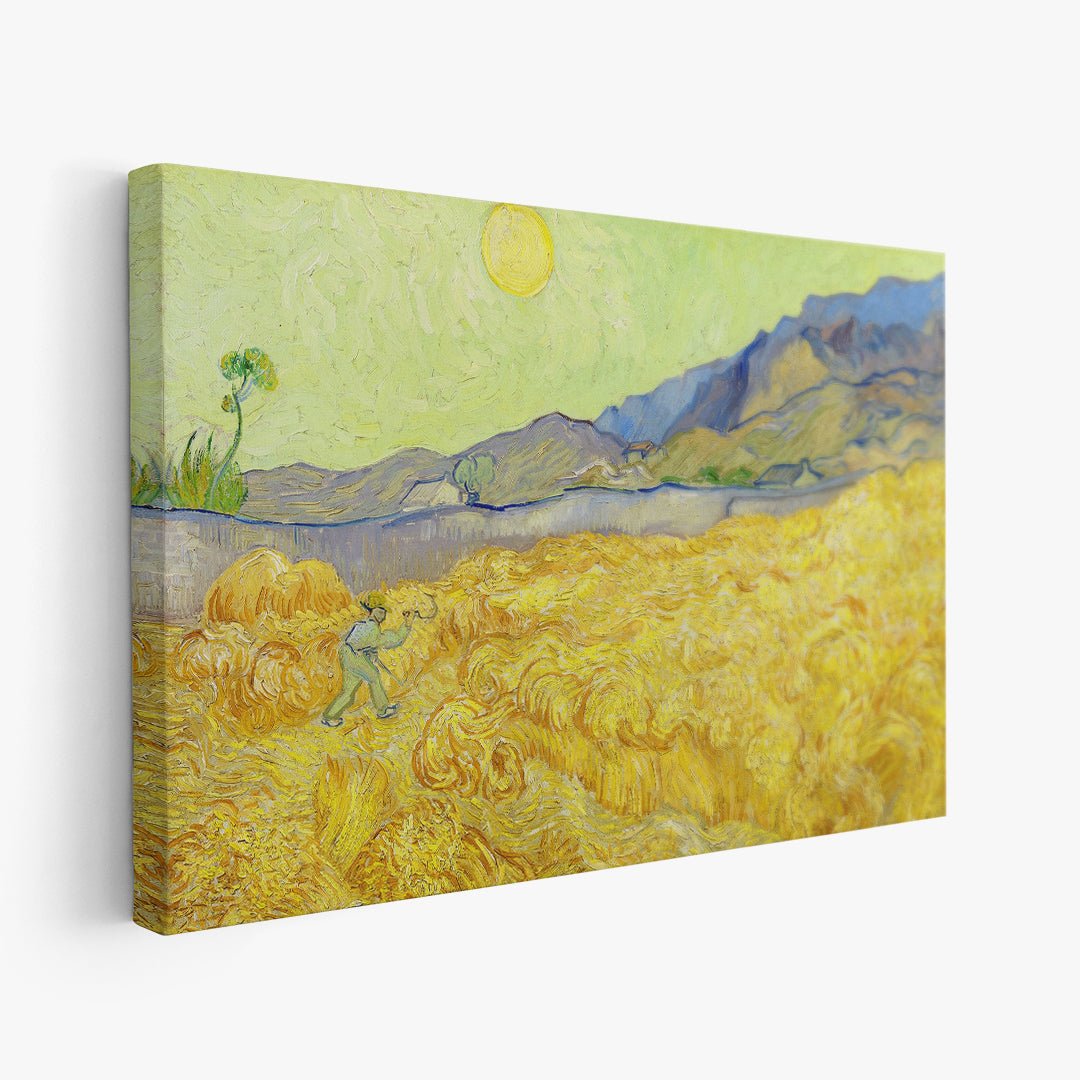 Campo di grano con mietitore