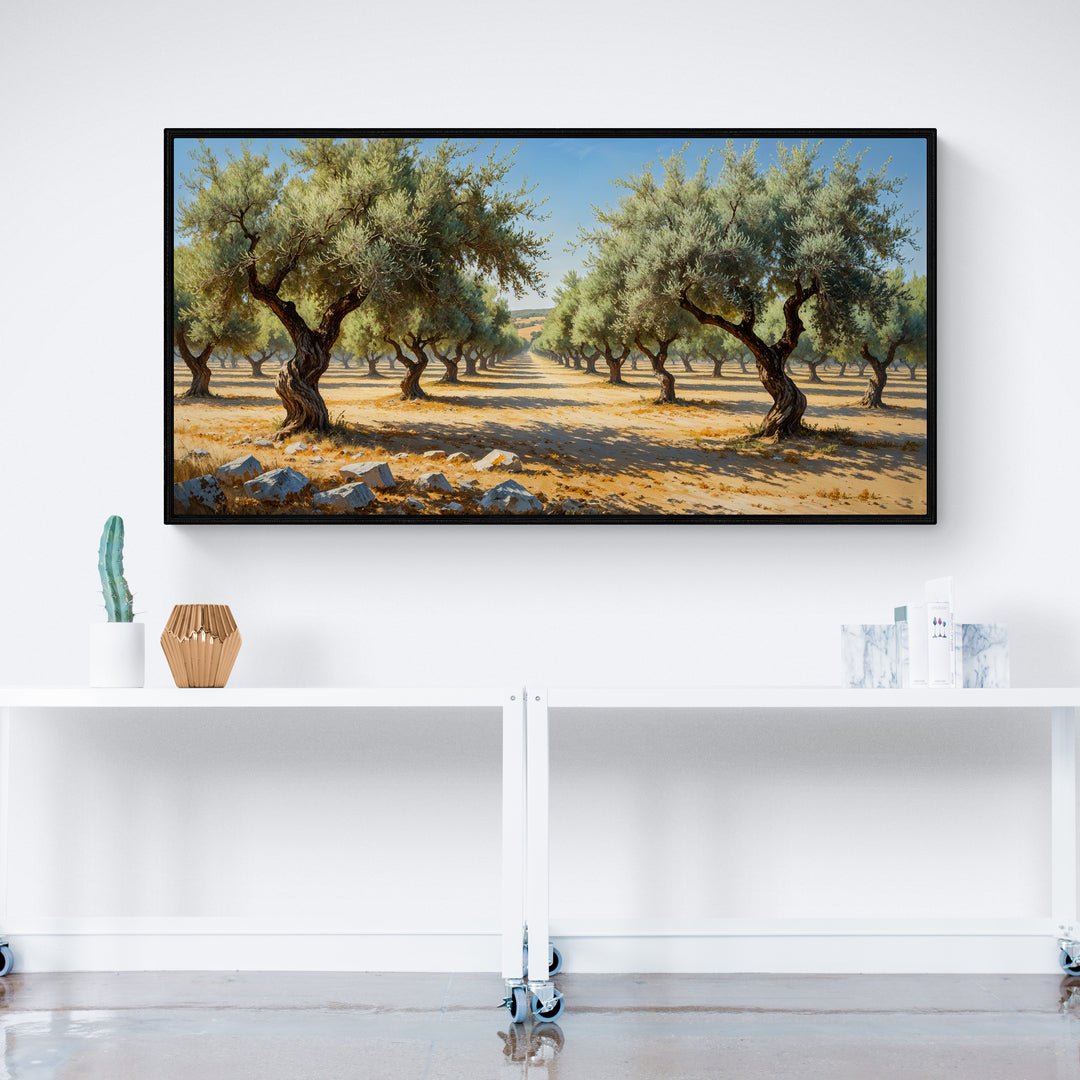 Veduta decorativa di una piantagione di ulivi in estate nel Sud Italia