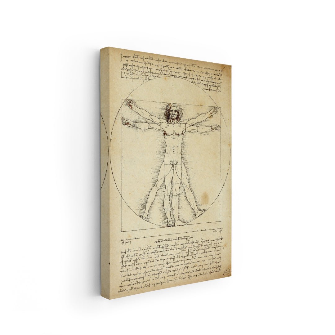 L’Uomo Vitruviano – Leonardo da Vinci