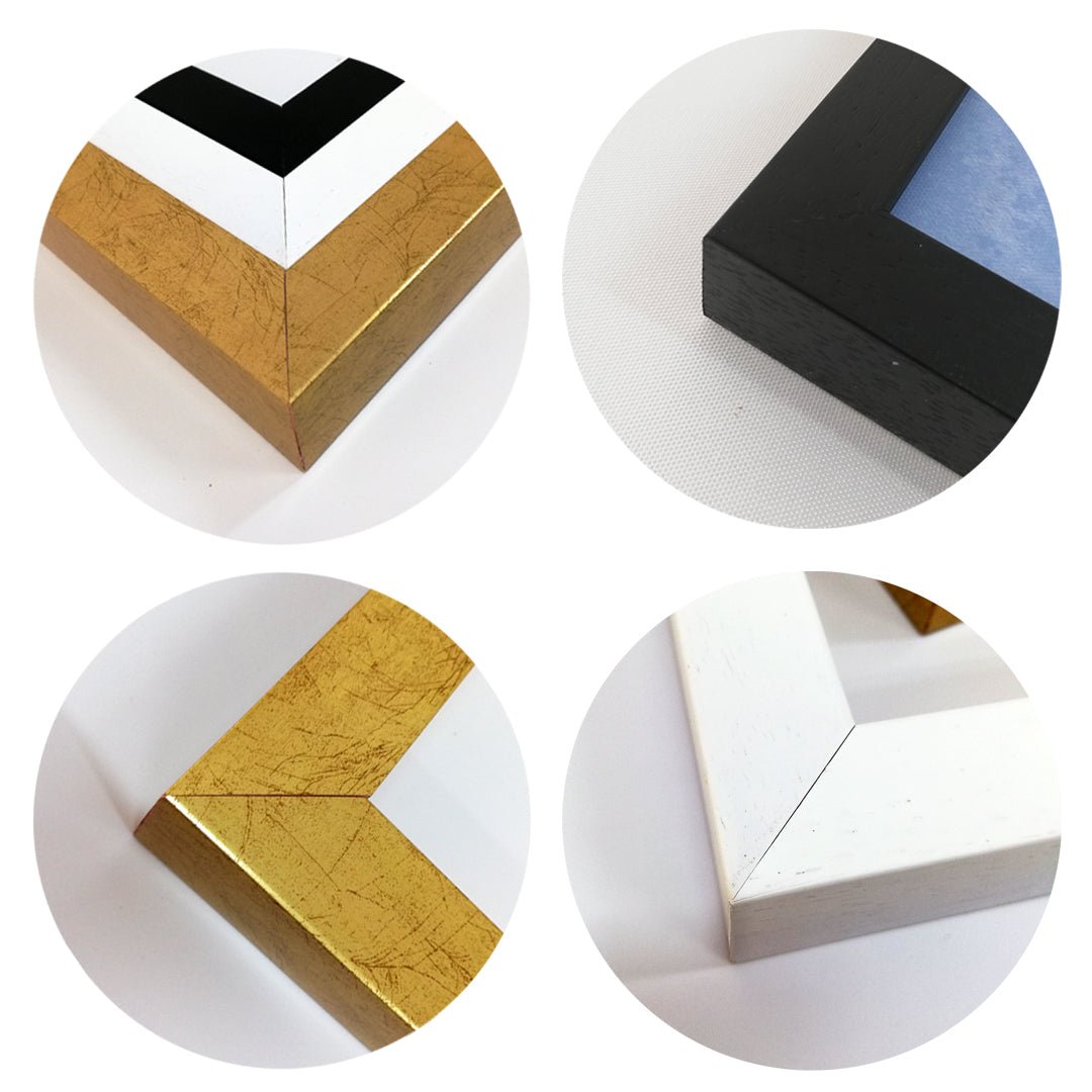 Navigando nella Quiete Blu